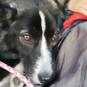 Meet your Posher, Adam